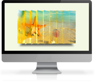 wdecommerce 5.0